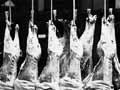 Meat for export