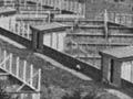 Ruakura Experimental Station