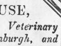 Advertising an animal hospital 
