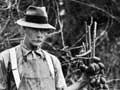 Hayward Wright and kiwifruit