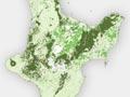 Pastoral land use