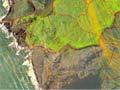 Map from GPS technology