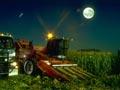 Harvest moon