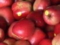Fuji apples