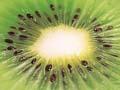 Kiwifruit