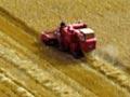 Wheat harvest, Canterbury