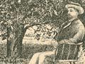 Orange tree, Whangārei, 1880s 