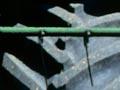 Header harvester