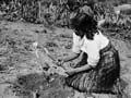 Woman using a timo