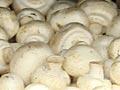 Button mushroom display