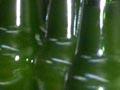 Juices