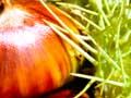 Chestnuts