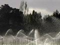 Frost sprinklers