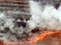 Burning stubble