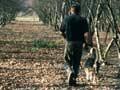 Truffle farm