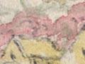 Mid-19th century peach gardens