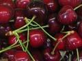 Packing cherries