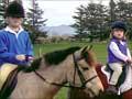 Pony club 