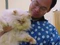Cat grooming