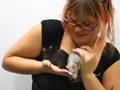 Pet rats