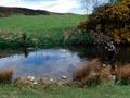 Trout fishing