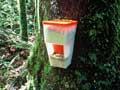 Possum bait station