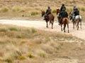 Horse trekking