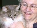 Caring for cats