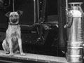 Fire brigade mascot