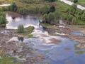 Whangamarino wetland