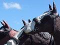 Clydesdale statue