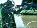 Video: Shotgun safety