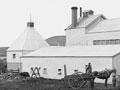 Bell Brewery, Whanganui, 1870s