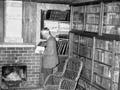 Brancepeth library