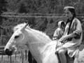 Pony club carnival