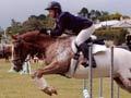 Pony-club jumping