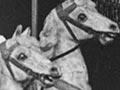 Merry-go-round 