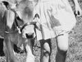 Children and calves