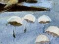 German paratroopers landing at Galatás, Crete