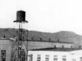 Whakatāne timber mill