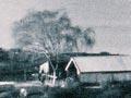 St Faith’s church