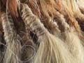 Decorative kurī hair