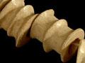 Bone necklace