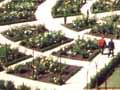 Trevor Griffiths Rose Garden
