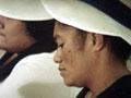 26733-tvnz-th.jpg
