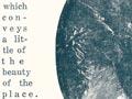 268279d14401enzth.jpg