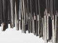 ‘Tui cloak’, 2004