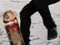 Skateboard culture