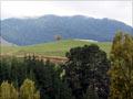 Maungatautari
