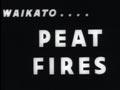 Peat fire